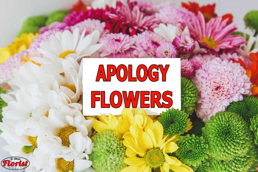 apology flowers Dayton