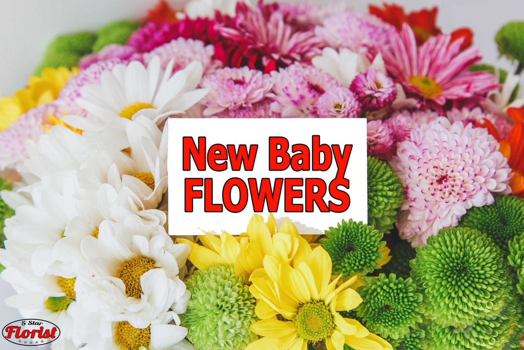 new baby flowers Dayton