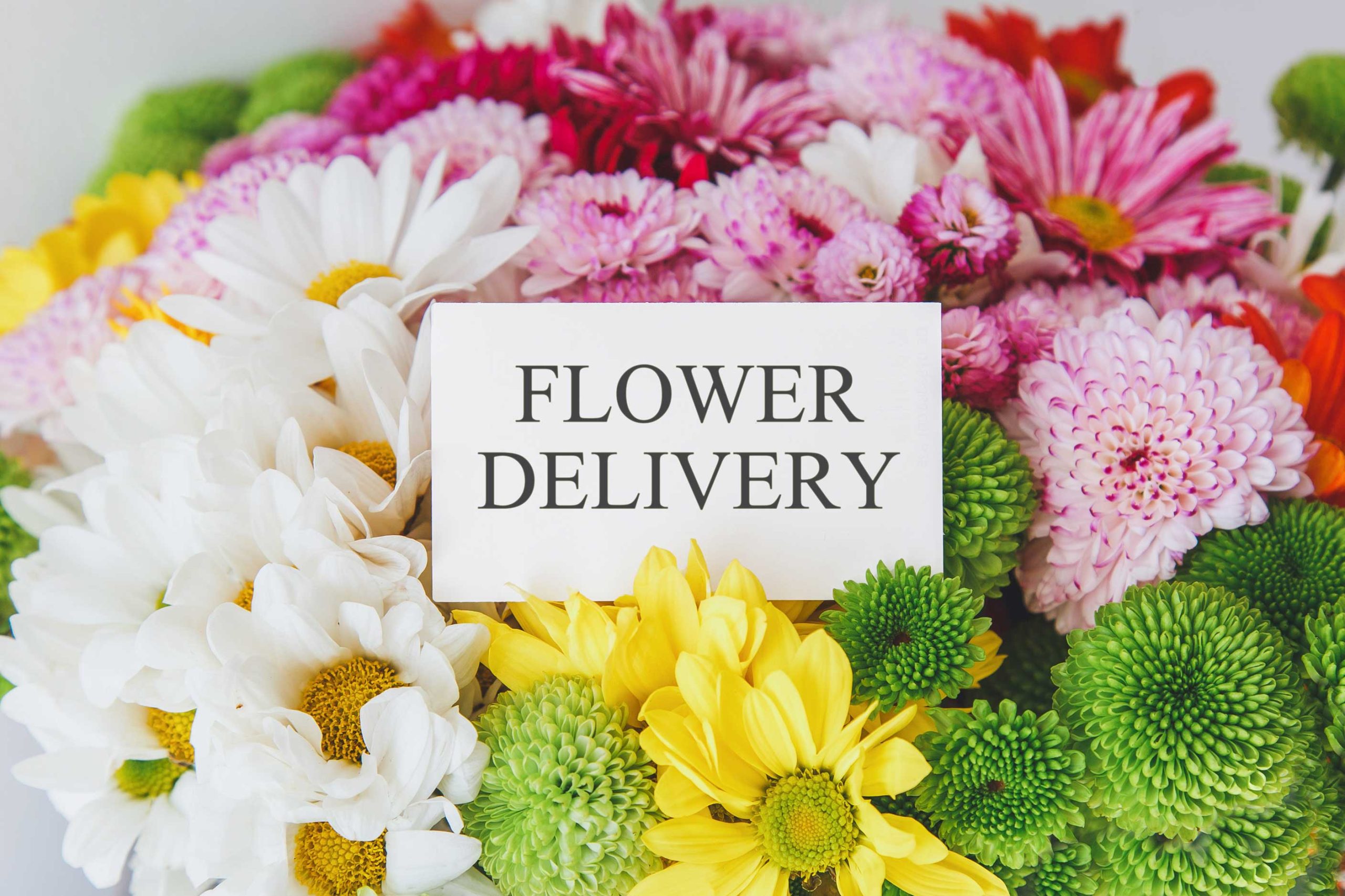 same-day-flower-delivery- Dayton